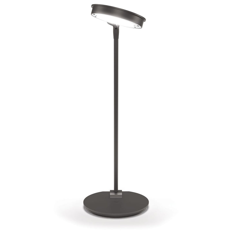 MooreCo Elate LED Desk Lamp 18.7