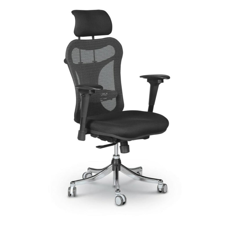 MooreCo Ergo Ex Ergonomic Office Chair 51